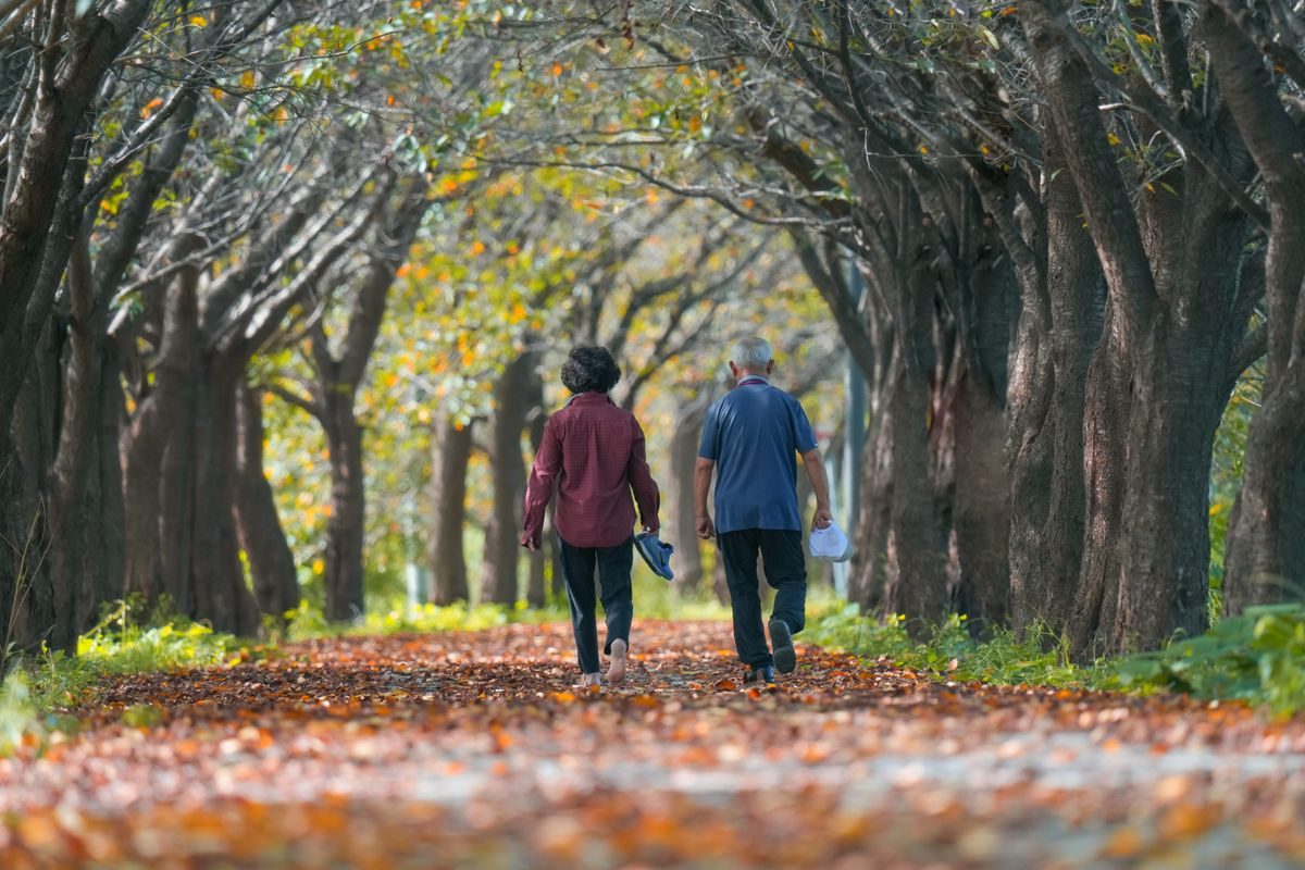 A couple walking together on an autumn path